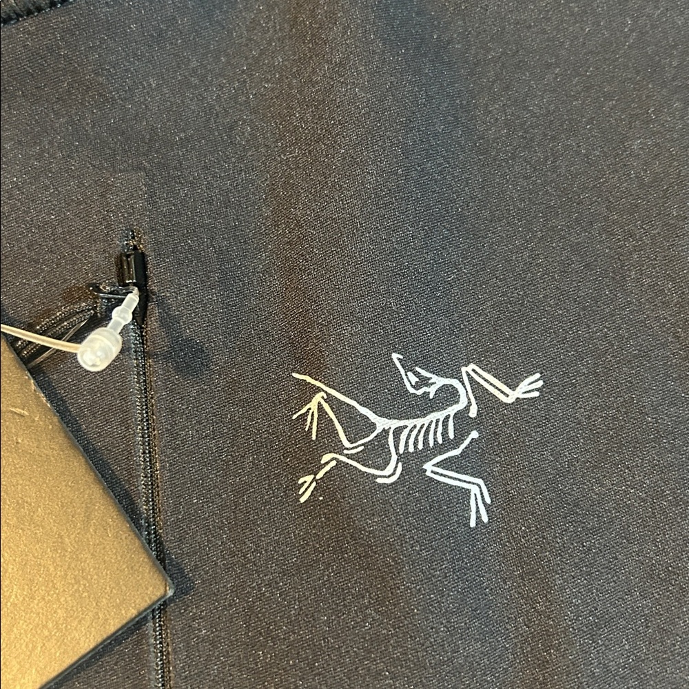 Arc’teryx Delta Pullover Hoody - Picture 6 of 13